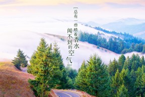 kaiyun网站-国际热身赛国足战败 球迷期待球队反弹，国际足联热身赛