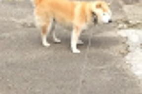 开云esports-“宽板滑水：东三叉湖赛场创新运动，激情无限”